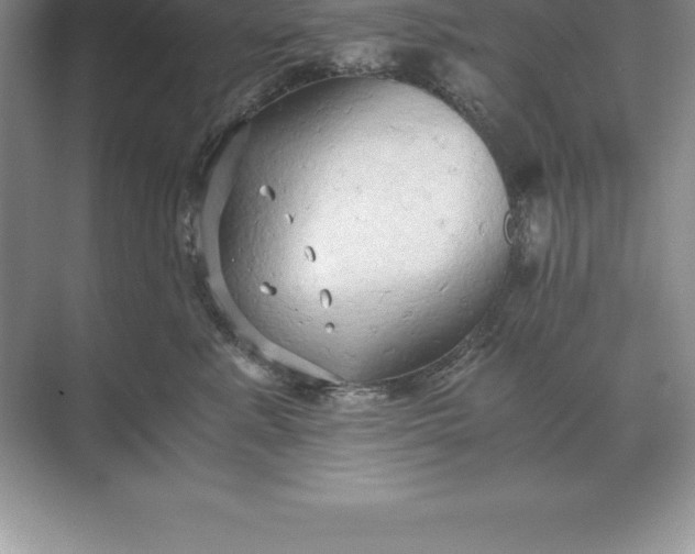 X0000071380619200607071843