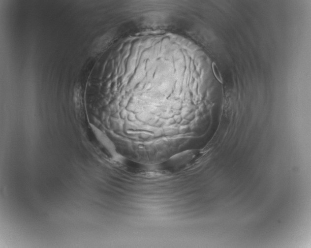 X0000071380623200607071843