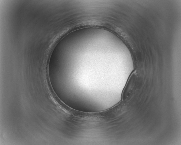 X0000071380625200607071842