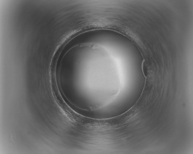 X0000071380626200607071842