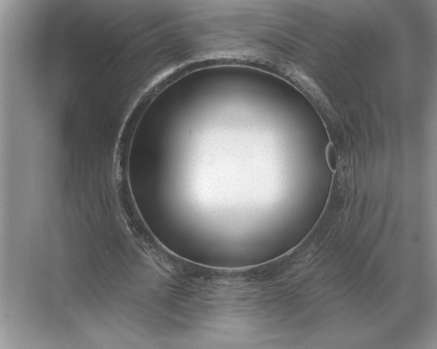 X0000071380628200607071842