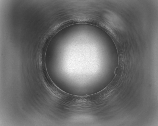 X0000071380631200607071842