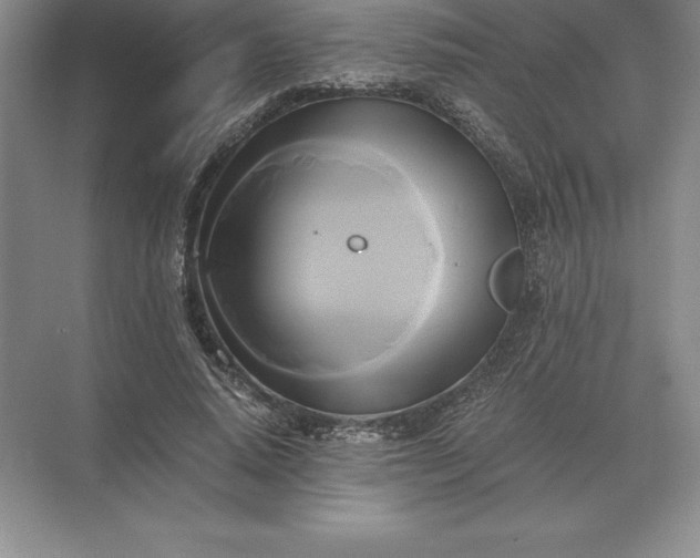 X0000071380640200607071842