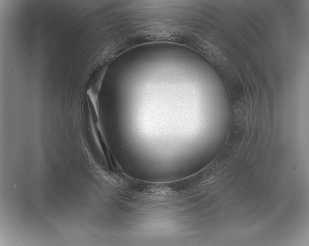 X0000071380642200607071842