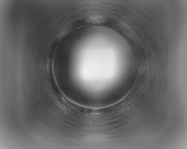 X0000071380647200607071843