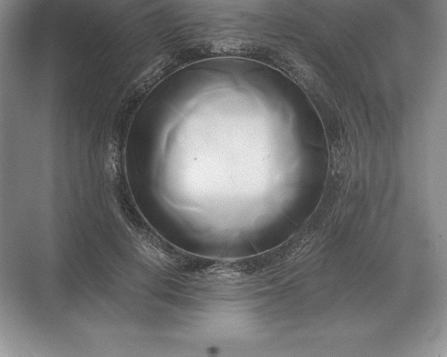 X0000071380648200607071843