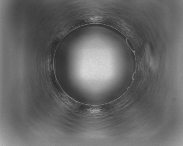 X0000071380651200607071843