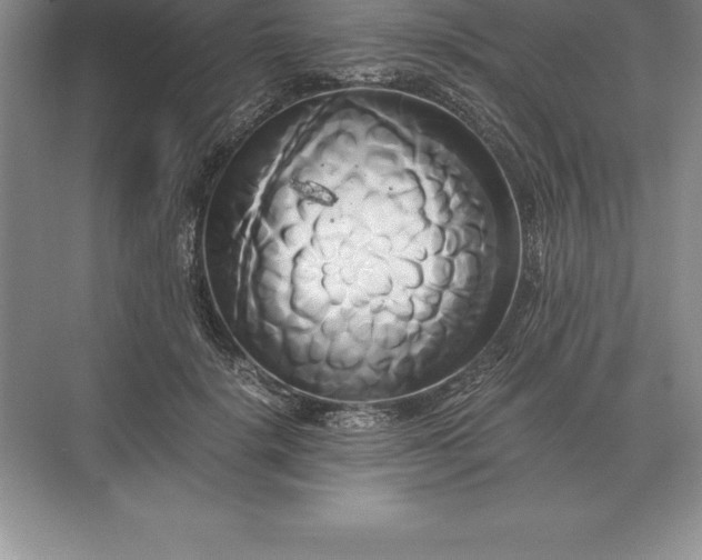 X0000071380652200607071843