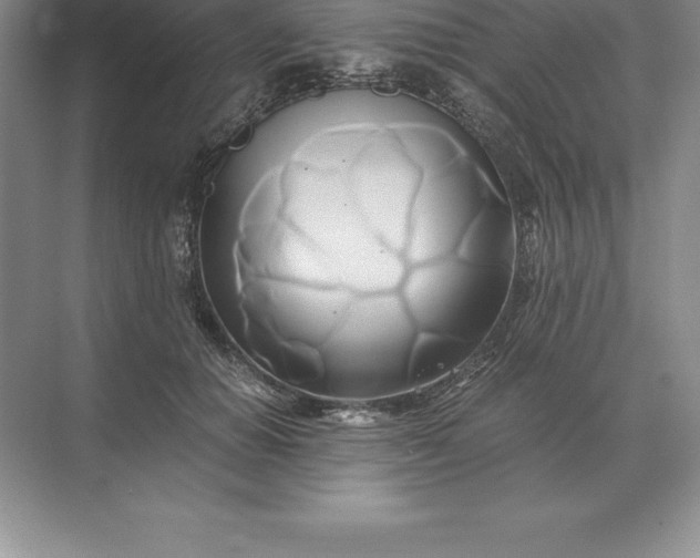 X0000071380654200607071843