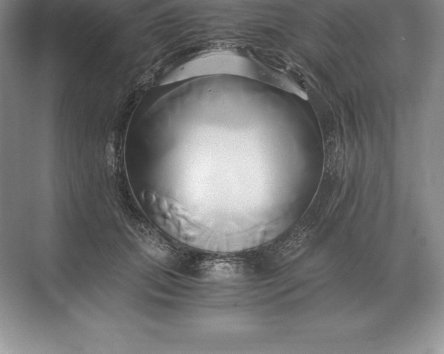 X0000071380655200607071843