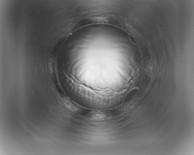 X0000071380658200607071843