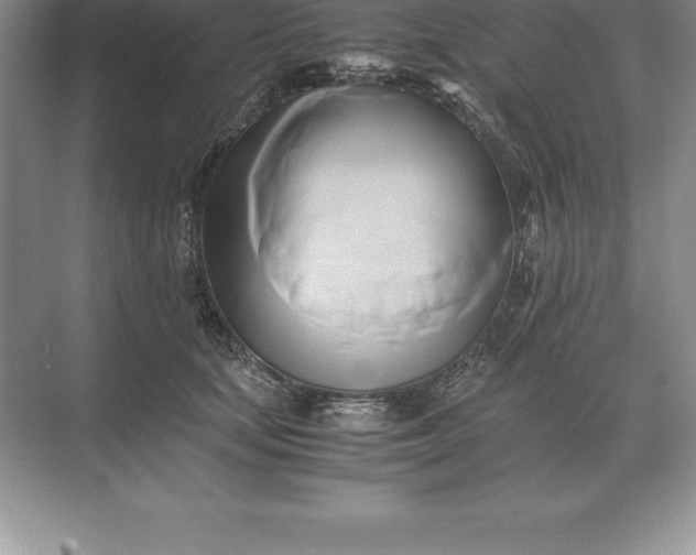 X0000071380659200607071843