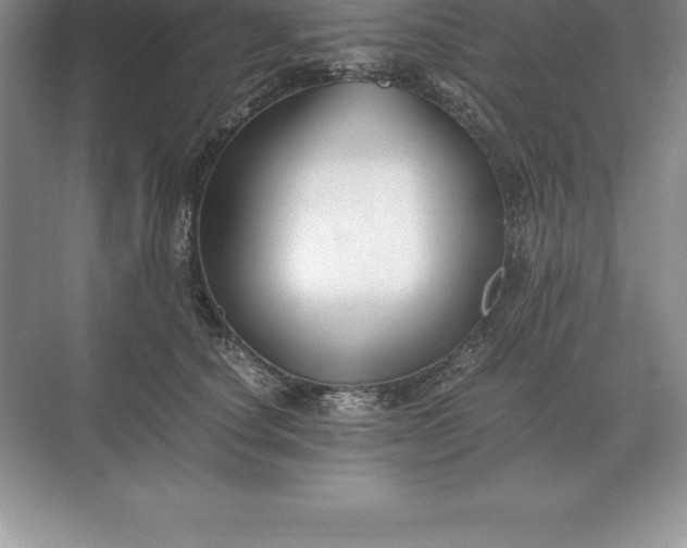 X0000071380660200607071843