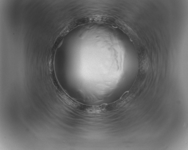 X0000071380661200607071843