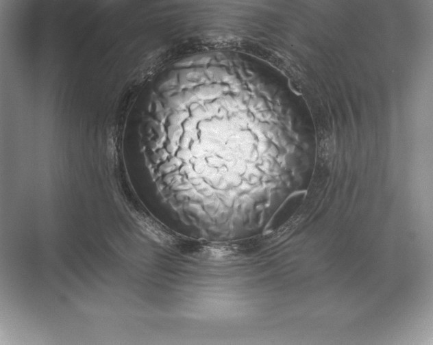 X0000071380662200607071843