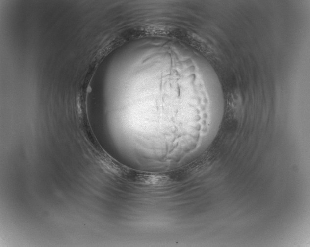 X0000071380663200607071843