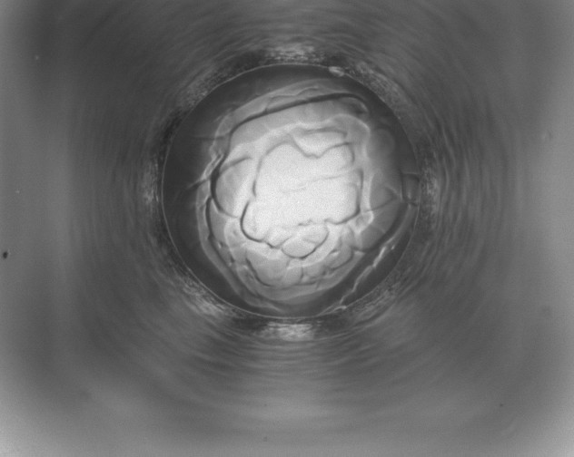 X0000071380665200607071843