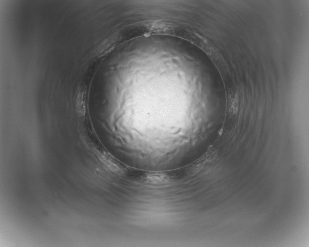 X0000071380666200607071843