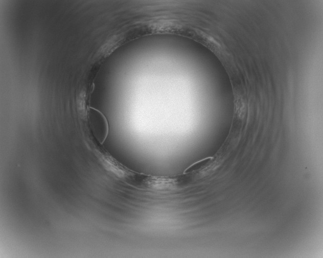 X0000071380670200607071843