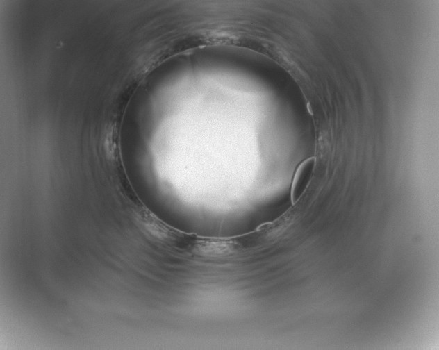 X0000071380671200607071843