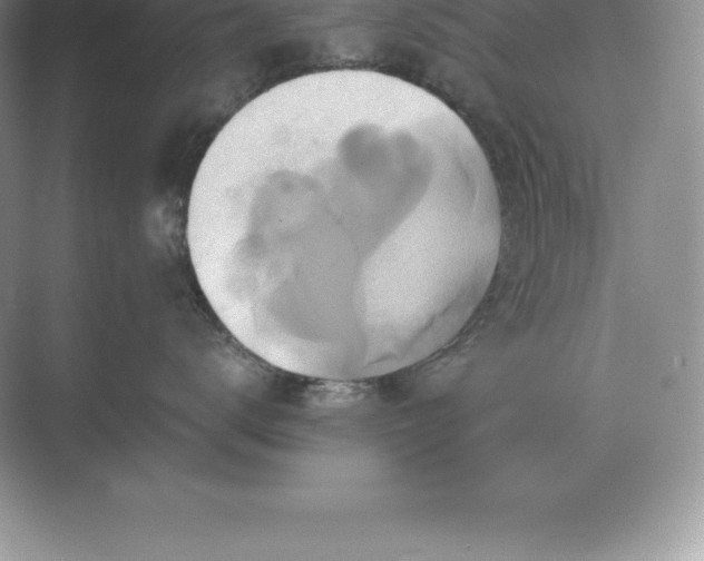 X0000071380672200607071843