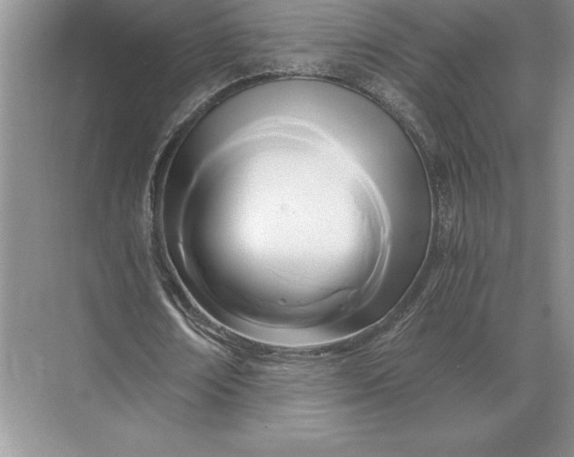 X0000071380674200607071842