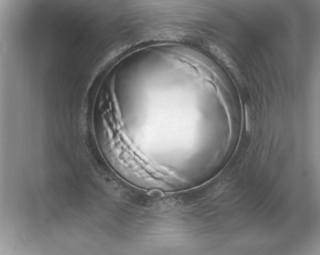 X0000071380675200607071842