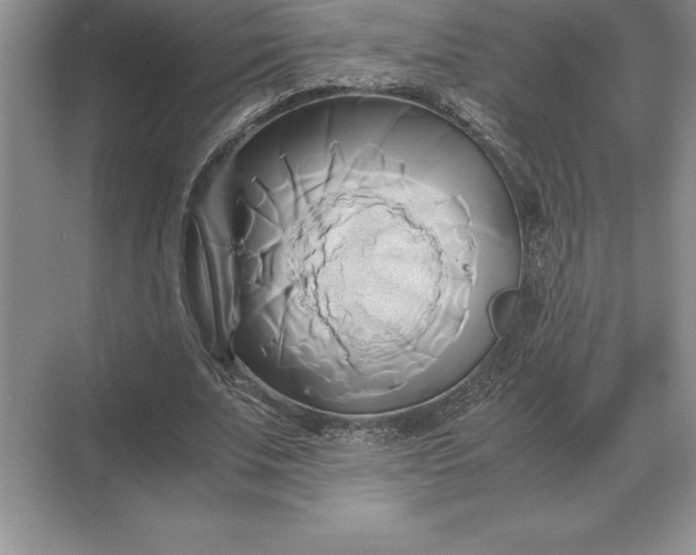 X0000071380679200607071842