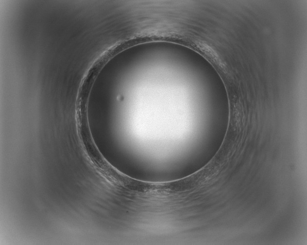 X0000071380680200607071842