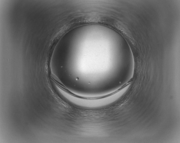 X0000071380681200607071842