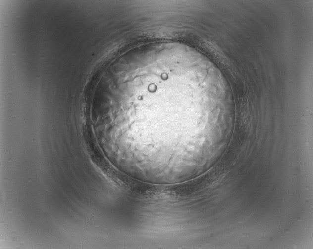 X0000071380683200607071842