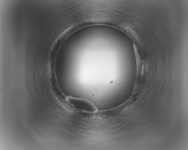 X0000071380684200607071842