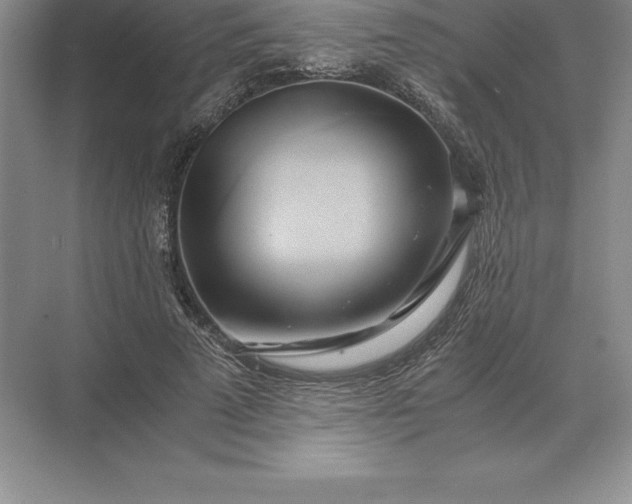 X0000071380689200607071842