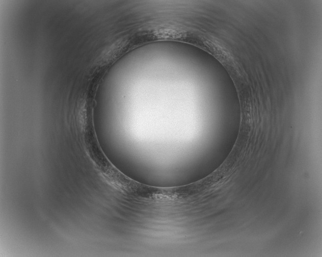 X0000071380690200607071842