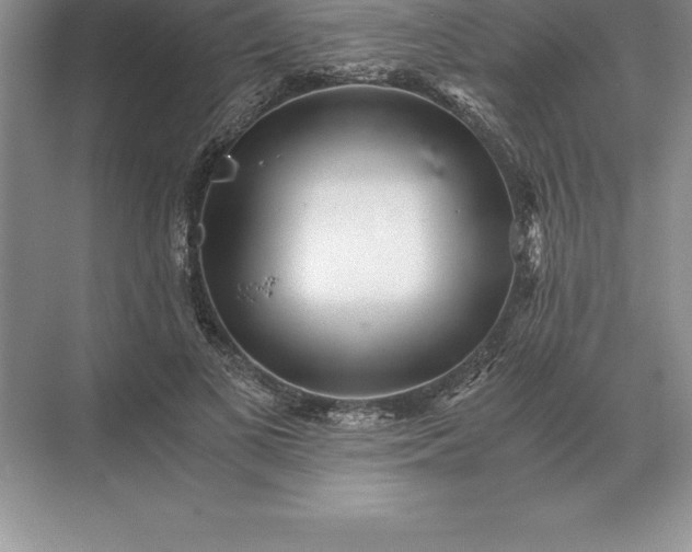 X0000071380693200607071842