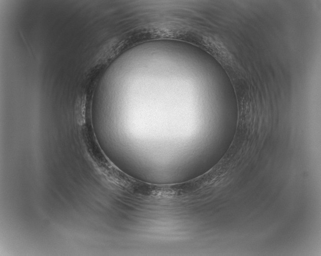 X0000071380694200607071842