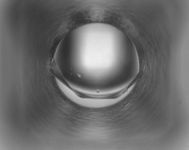 X0000071380697200607071842