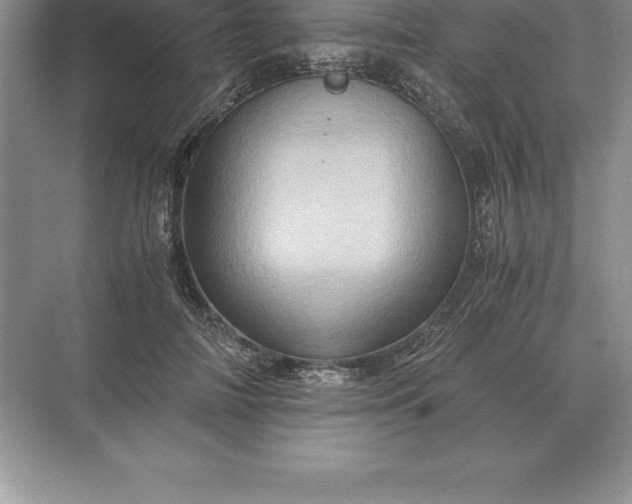 X0000071380698200607071842