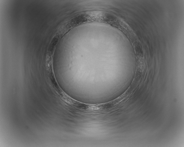 X0000071380701200607071842