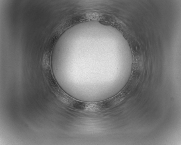 X0000071380705200607071842