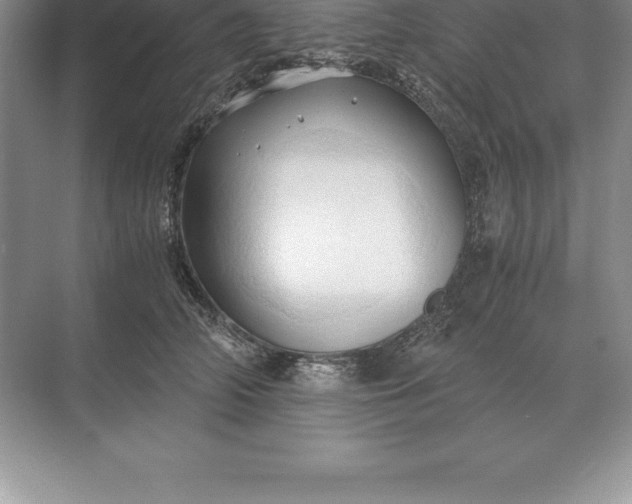 X0000071380706200607071842