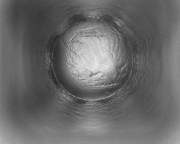 X0000071380707200607071842