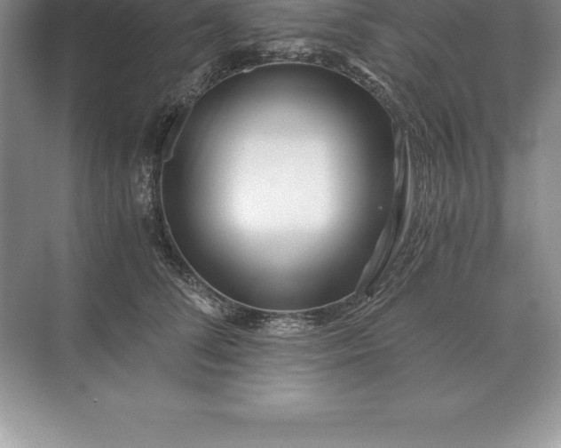 X0000071380708200607071842