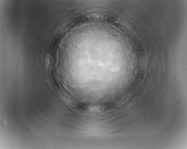 X0000071380709200607071842