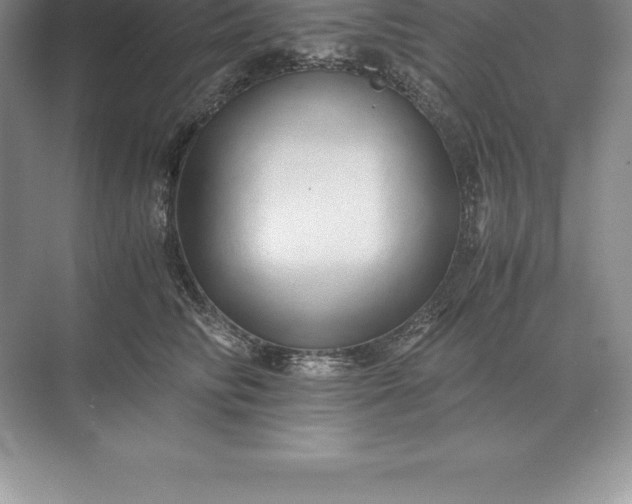 X0000071380710200607071842