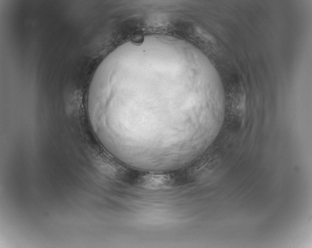 X0000071380711200607071842