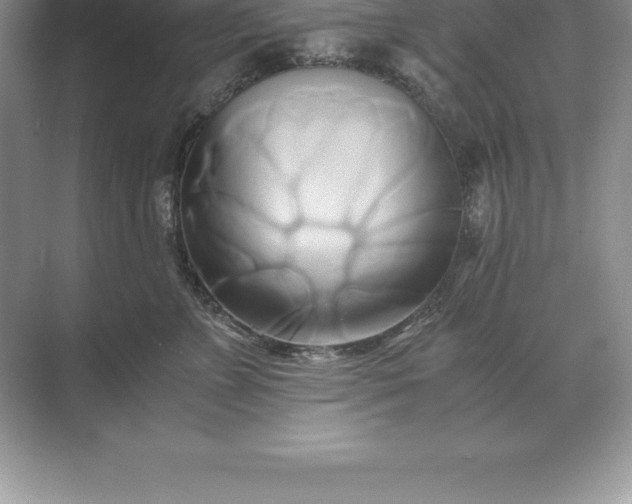 X0000071380715200607071841