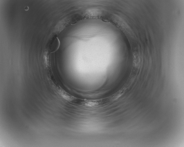 X0000071380718200607071841