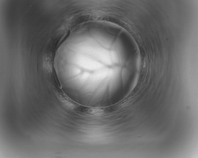 X0000071380719200607071841