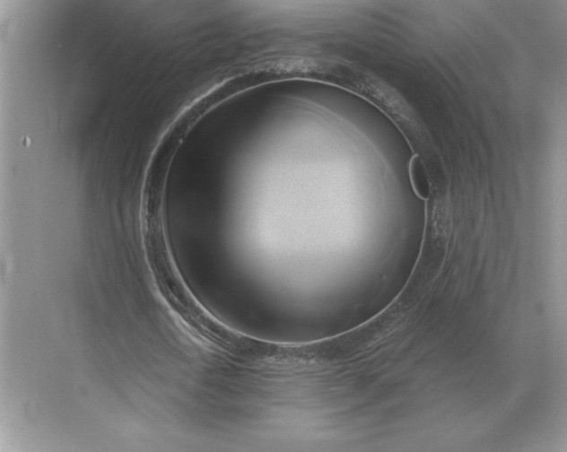 X0000071380722200607071841